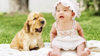 Photo of Should My Dog Lick My Baby?